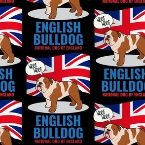 English Bulldog Medium on Black