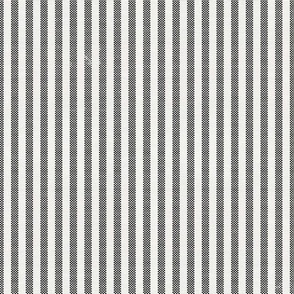 AEGEAN WIDE TICKING STRIPE BLACK