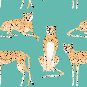 Pretty Cheetah teal