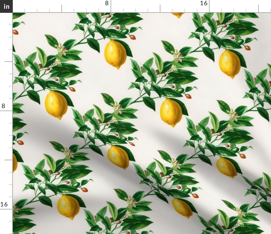 Botanical lemon - medium
