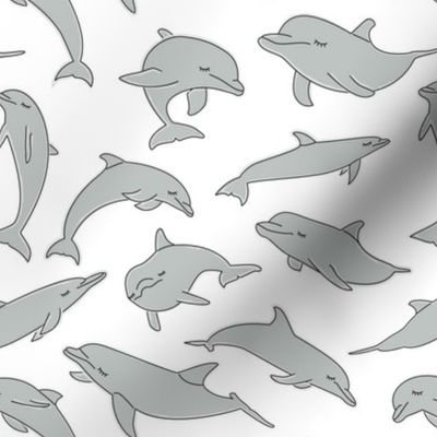 grey dolphins