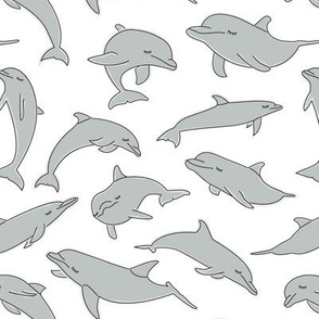grey dolphins