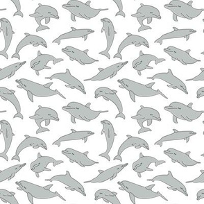 tiny grey dolphins