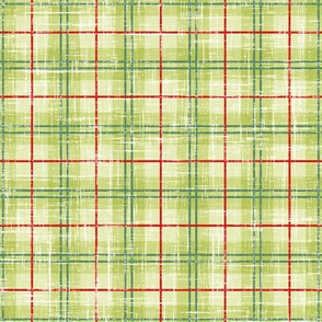 Green & Red Textured Plaid