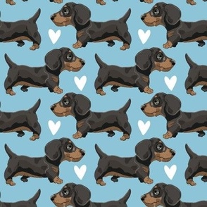 Sausage Dog Puppies Blue small scale