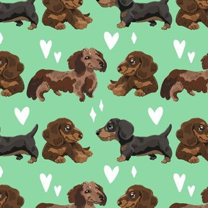 Trio of Sausage Dogs Green small scale