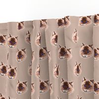 Cat on Polka dot background