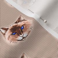 Cat on Polka dot background