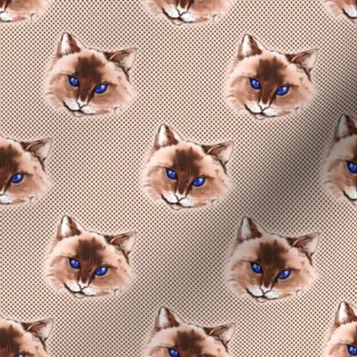 Cat on Polka dot background
