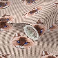 Cat on Polka dot background