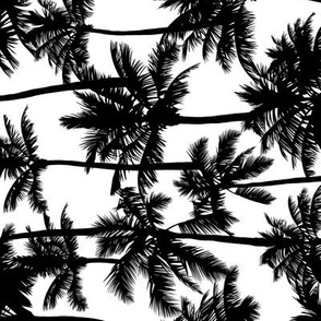 Palm Trees / Black And White / Small Scale / Rotated