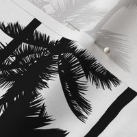 Palm Trees / Black And White / Large Scale / Rotated