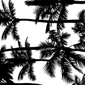 Palm Trees / Black And White / Large Scale / Rotated