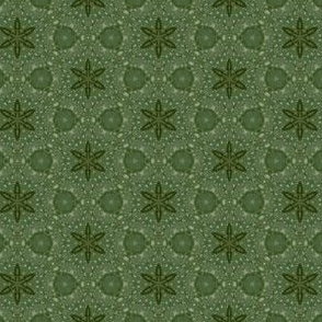 Green Monotone Geometric