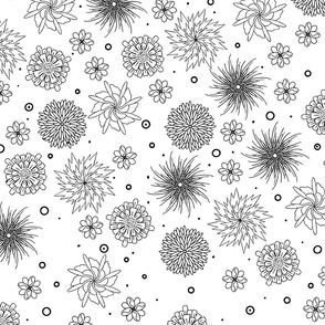 Fanciful Black and White Abstract Floral