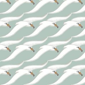 Albatross Tessellation, Deep Barnacle