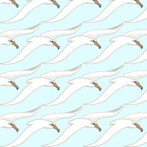 Albatross Tessellation, Whisper Blue
