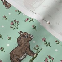 Brown Baby Donkey on Pastel Green