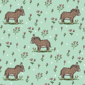 Brown Baby Donkey on Pastel Green