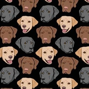 Labrador Dog Faces - Black - Yellow Brown Black Lab Dogs