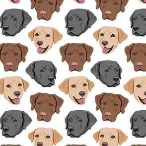 Labrador Dog Faces - White - Yellow Brown Black Lab Dogs