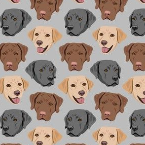 Labrador Dog Faces - Gray - Yellow Brown Black Lab Dogs