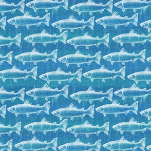 School of Fish Salmon on Blue 