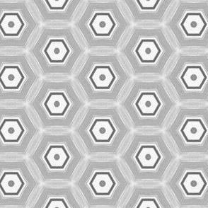 Gray and White Circle Hexagons