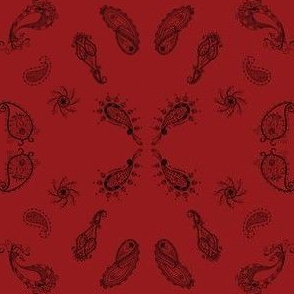 Paisley red 