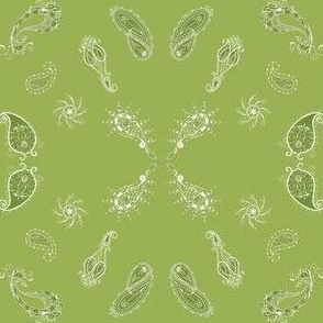 Paisley kiwi green shades