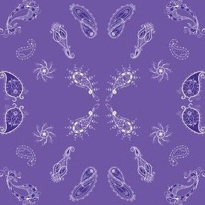 paisley purple shades 