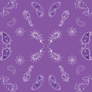 paisley violet shades 