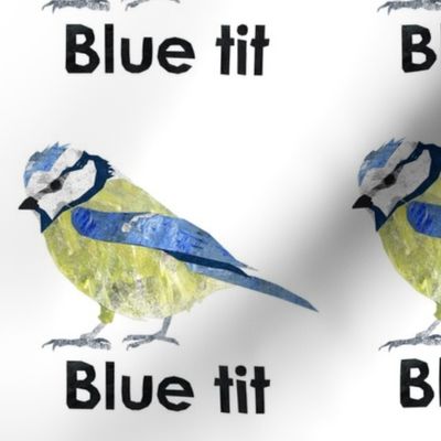 blue tit - 6" panel