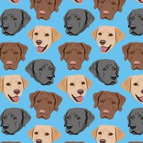 Labrador Dog Faces - Blue - Yellow Brown Black Lab Dogs