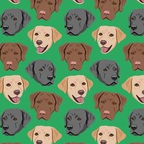 Labrador Dog Faces - Green - Yellow Brown Black Lab Dogs