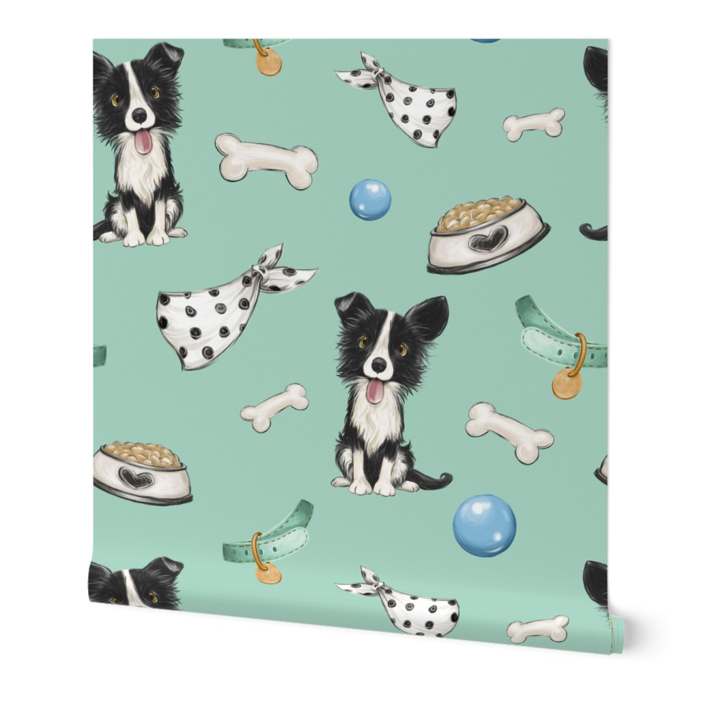 border collie mint