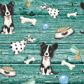 border collie teal wood 