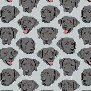 Black Labrador Dog Faces - Gray