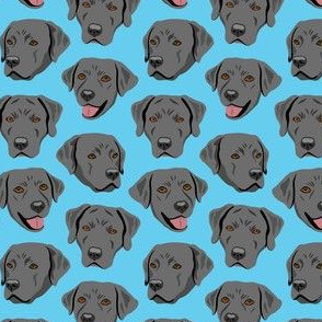 Black Labrador Dog Faces - Light Blue