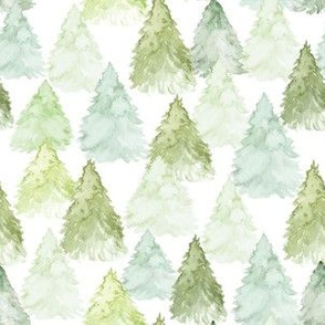 Light Green Pine Trees
