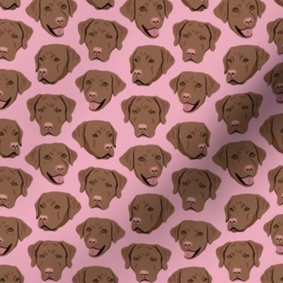 Brown Labrador Dog Faces - Pink