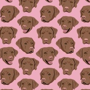 Brown Labrador Dog Faces - Pink