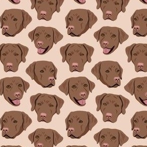 Brown Labrador Dog Faces - Tan Beige Cream