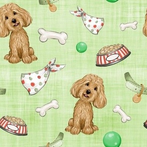 cavoodle light green linen