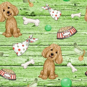 cavoodle light green wood