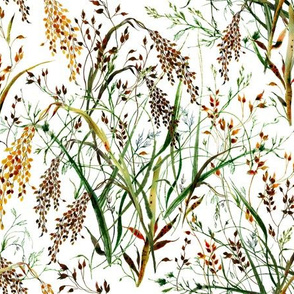Wild Grasses in Watercolor