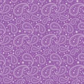 Paisley Lavender