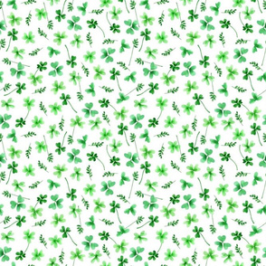 clover on white background