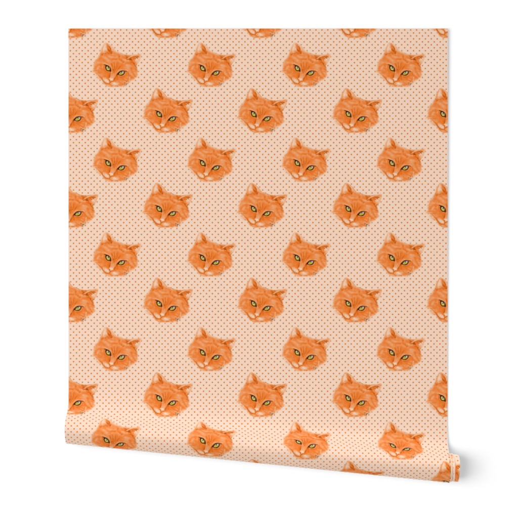 Orange Cat with polka dots background