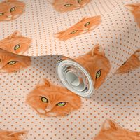 Orange Cat with polka dots background